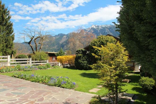 unser Garten Im Frühjahr Blick Richtung Tegelberg