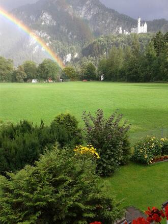 Blick aus dem Garten