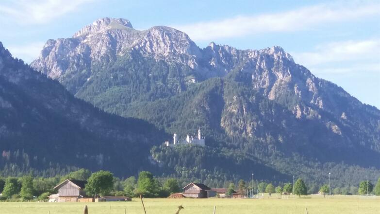 Säuling mit Neuschwanstein