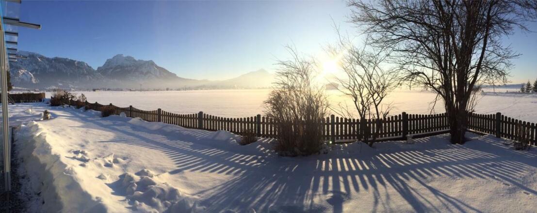 Bergpanorama vom Garten aus
