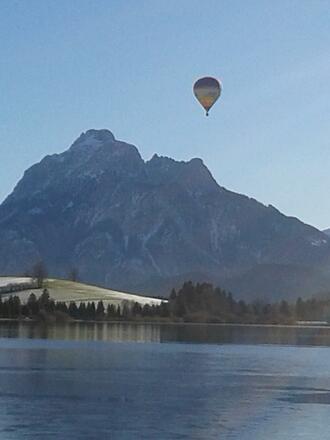 Säuling vom Hopfensee