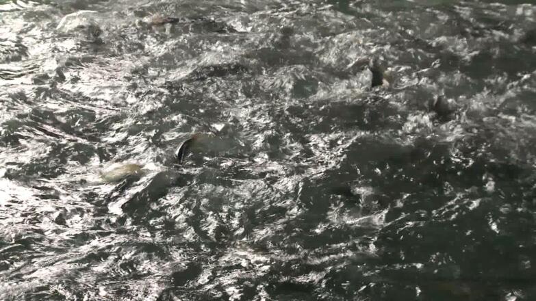 Aussichtspunkt Im Paradies