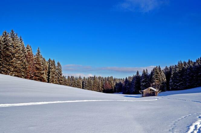 Landschaft bei Nesselwang