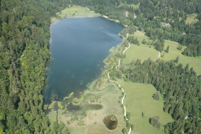 Luftbild zum Schwansee