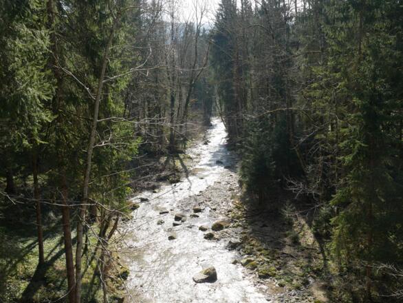 Kesselbach entlang der deutsch-österreichischen Grenze
