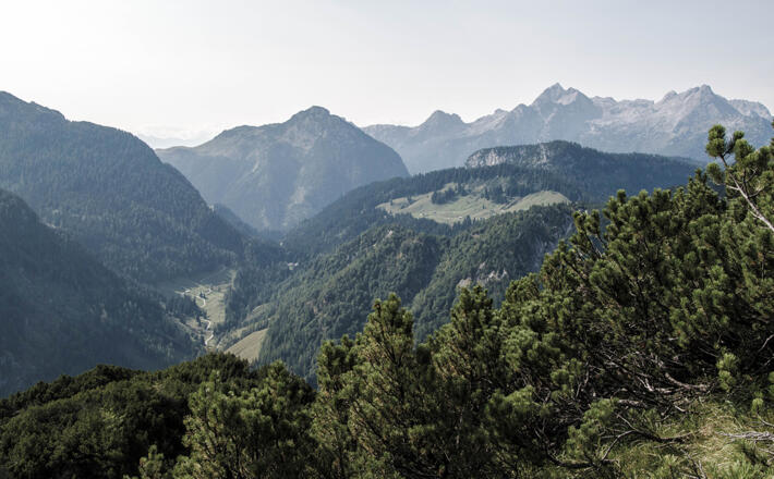Blick vom Schaflsteig zu Bindalm und Litzlalm