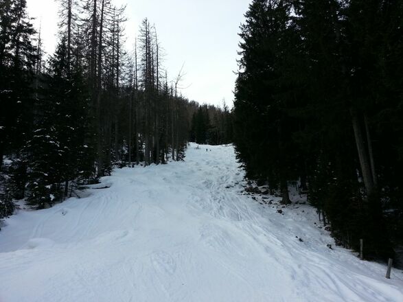 Die FIS Schneise zur Watzmann Gugl