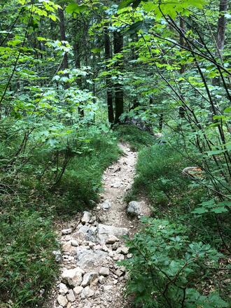 Wanderweg ins Tal