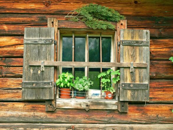 Fensterstudie an der Schapbachalm