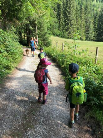 Wanderweg zur Halsalm