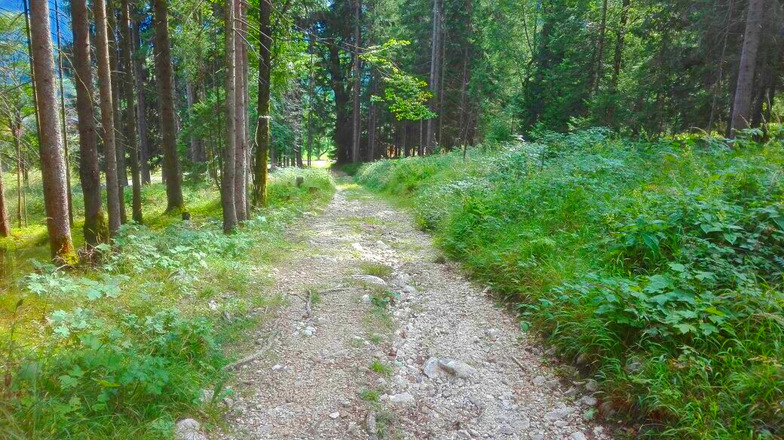 Wanderweg auf die Mordaualm