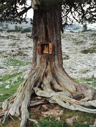 Am Zirbenmarterl (Variante)