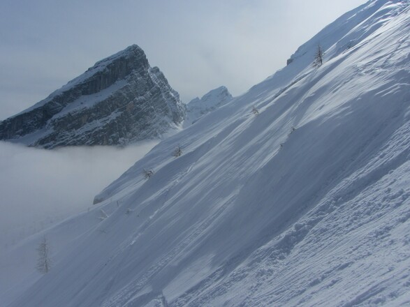 In der Flanke oberhalb der Falzalm