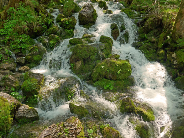 Bei den Gletscherquellen