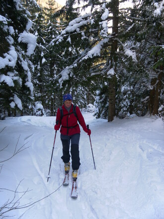 Weg zur Kührointalm