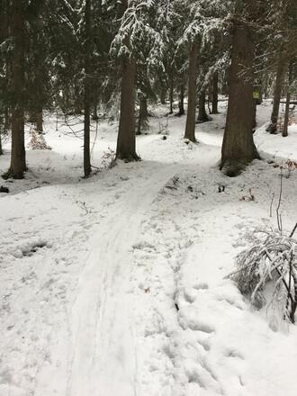 Skitour Hochschwarzeck - Toter Mann 