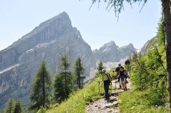 Entspannt bergab - Vom Watzmannhaus steigen wir zur Falzalm und dann Richtung Wimbachbrücke ab