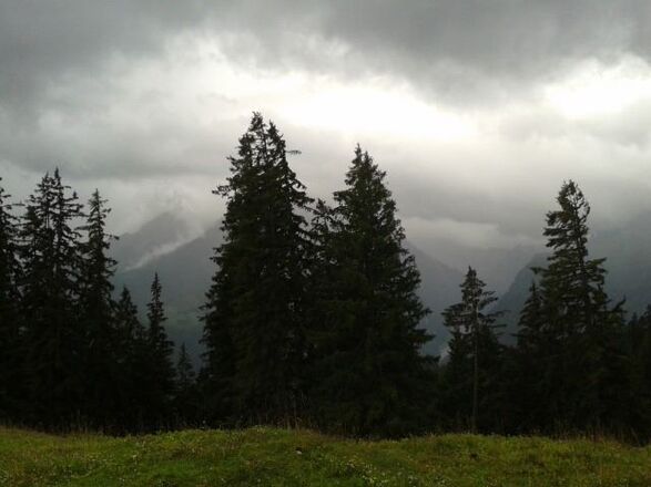 Heimische Wälder bei Bischofswiesen