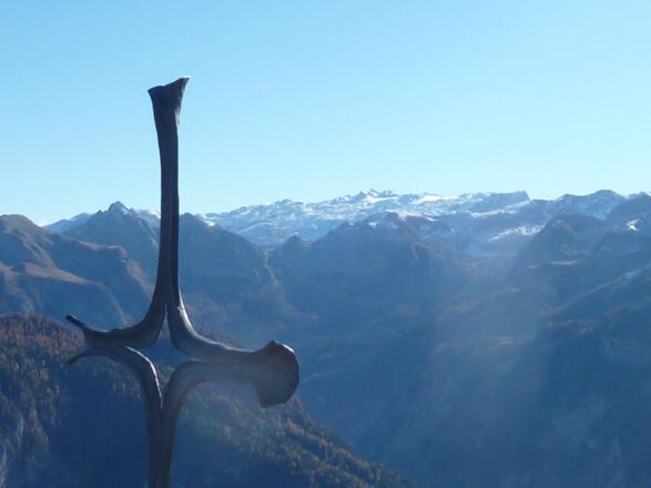 Hochkönig im Hintergrund