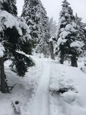 Skitour Hochschwarzeck - Toter Mann 