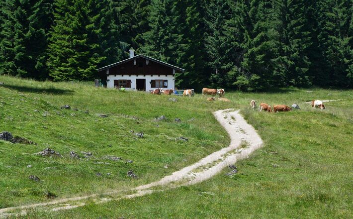 Der Egglerkaser auf der Anthaupten-Alm