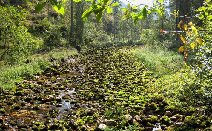 Rund um das Lattengebirge