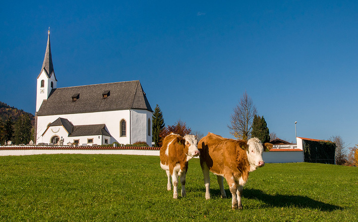Die Kapelle Vachenlueg