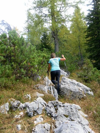 Abzweig am Laufsattel