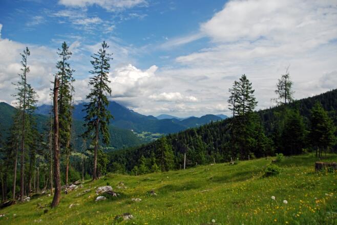 Blick über die Schönau