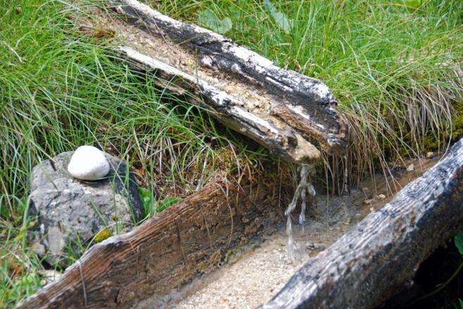 Kostenlose Erfrischung