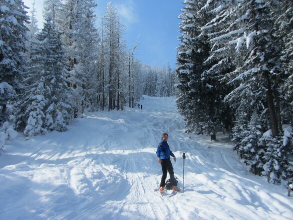 Aufstieg Gugel, hier in der Waldschneise oberhalb der Stubenalm