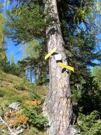 Abzweig vom Wachterlsteig