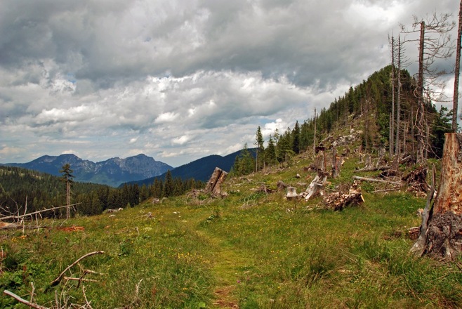 Auf dem Sattel zwischen Jochköpfl und Karkopf