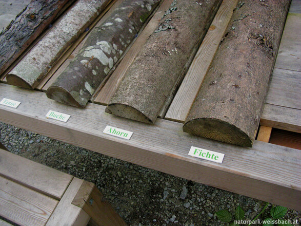 Themenweg Natur kennt keine Grenzen