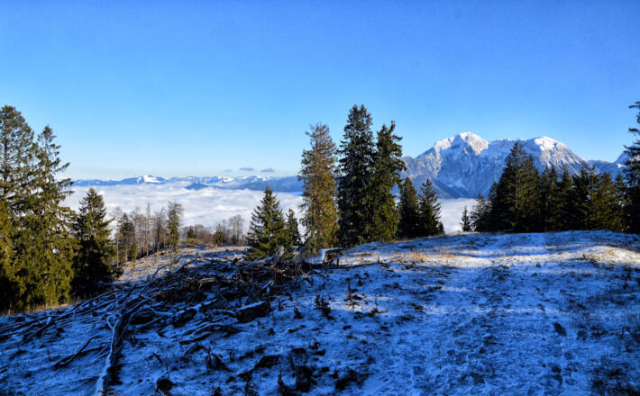 Winterwandern zum Toten Mann