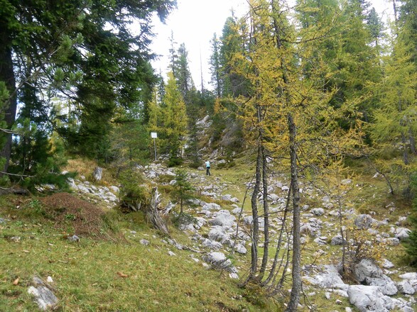 Steigspuren in breiter Mulde