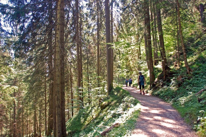 Auf dem Wg nach Gerstreit