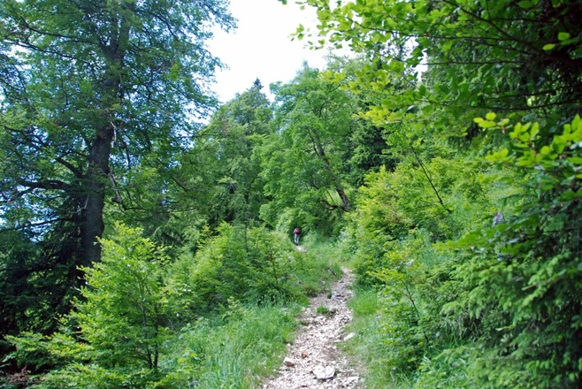 Aufstieg zum Jochköpfl