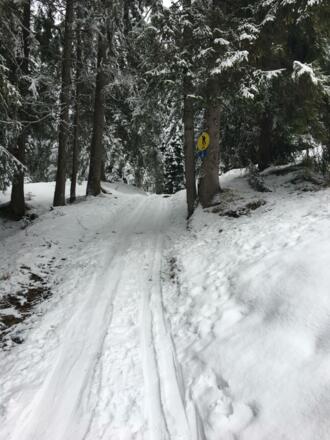 Skitour Hochschwarzeck - Toter Mann 