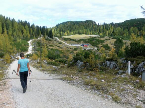 Alphorn hinter Hirschwies (milit. Sprengplatz)
