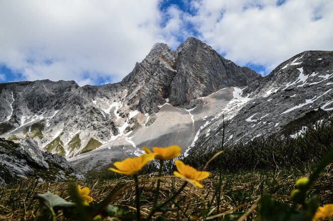 Hundstod und Seehorn