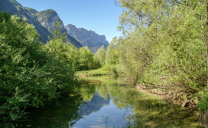 Biotop am Saalachsee Rundweg