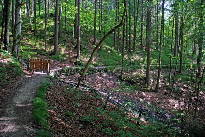 Auf dem Soleleitungsweg