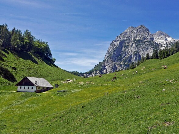 Das Gebiet der Halsalm