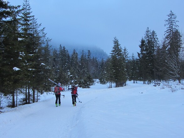 Knapp 2 km flacher Wanderweg, hoffentlich lichtet sich der Nebel