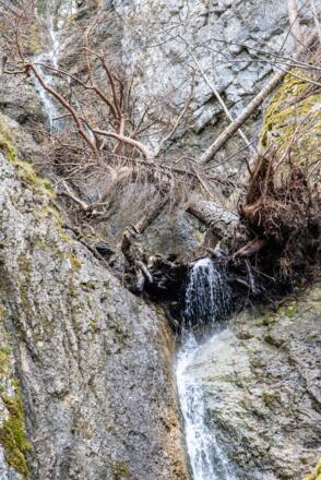 Rundwanderweg um den Weißensee