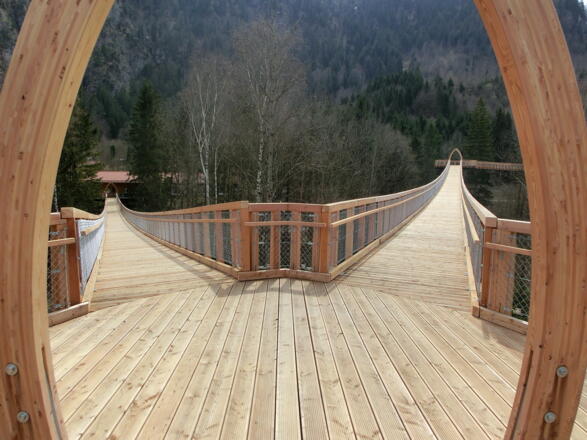 Auf einem Plateau auf dem Baumkronenweg