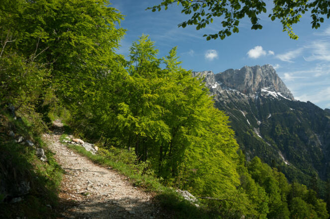 Stöhrweg oberhalb der Kaltwasserquelle