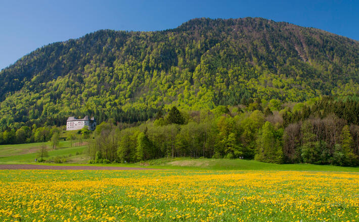 Fuderheuberg © RoHa Fotothek