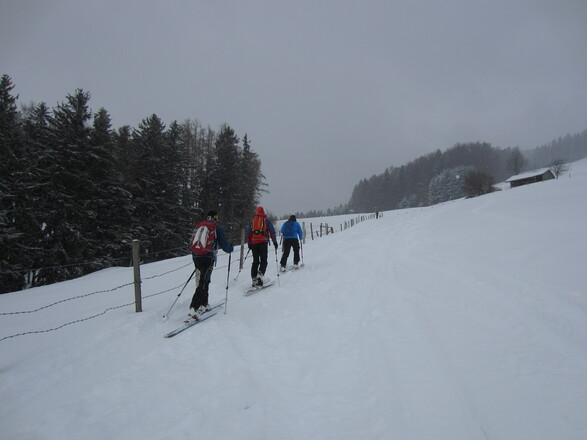 immer wieder die Lücken im Zaun suchen